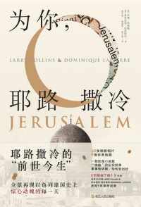 为你,耶路撒冷 为你,耶路撒冷
