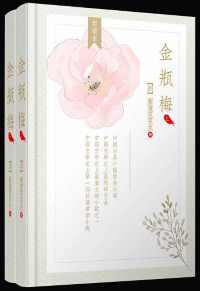 《金瓶梅》 《金瓶梅》