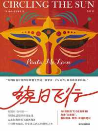 绕日飞行 绕日飞行