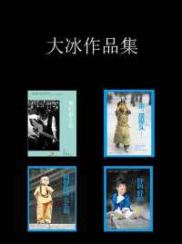 大冰作品集 大冰作品集