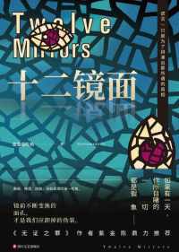 十二镜面 十二镜面