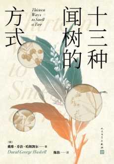 十三种闻树的方式