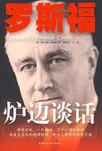 炉边谈话 炉边谈话