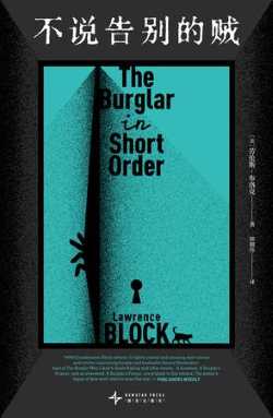 不说告别的贼.jpg 不说告别的贼.jpg